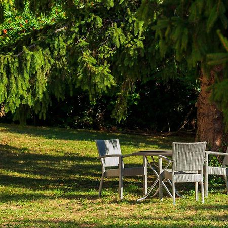 Logis Hotel Noemys Morgon ヴィリエ・モルゴン エクステリア 写真